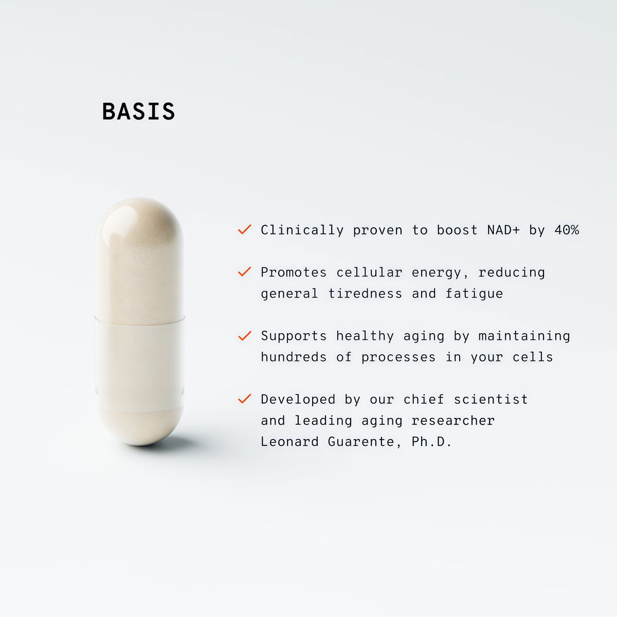 Basis
